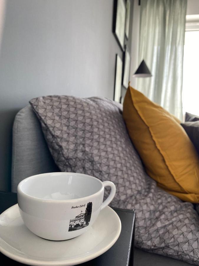 Ferienwohnung Boosko Me 2 Busko-Zdrój Exterior foto